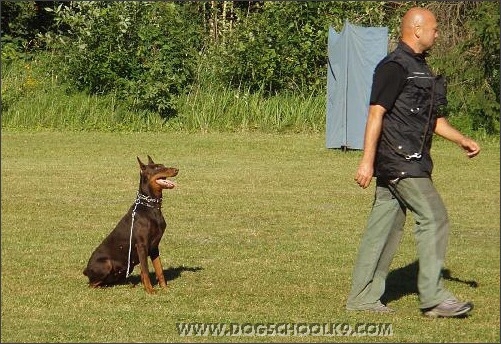 Summer training camp in Estonia 2007